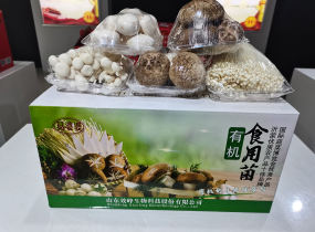 有機(jī)食用菌鮮品